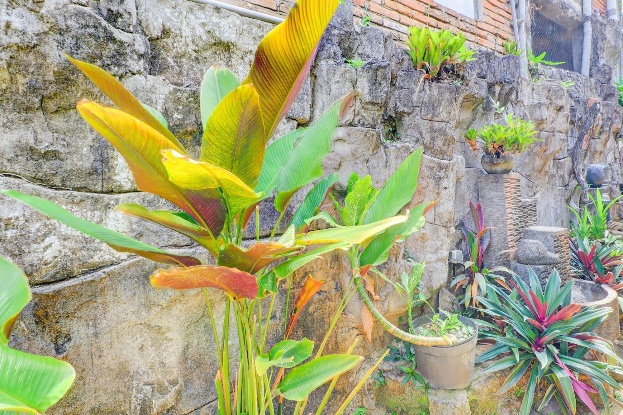 Hotel O Ubud Asri Homestay Near Monkey Forest Luaran gambar